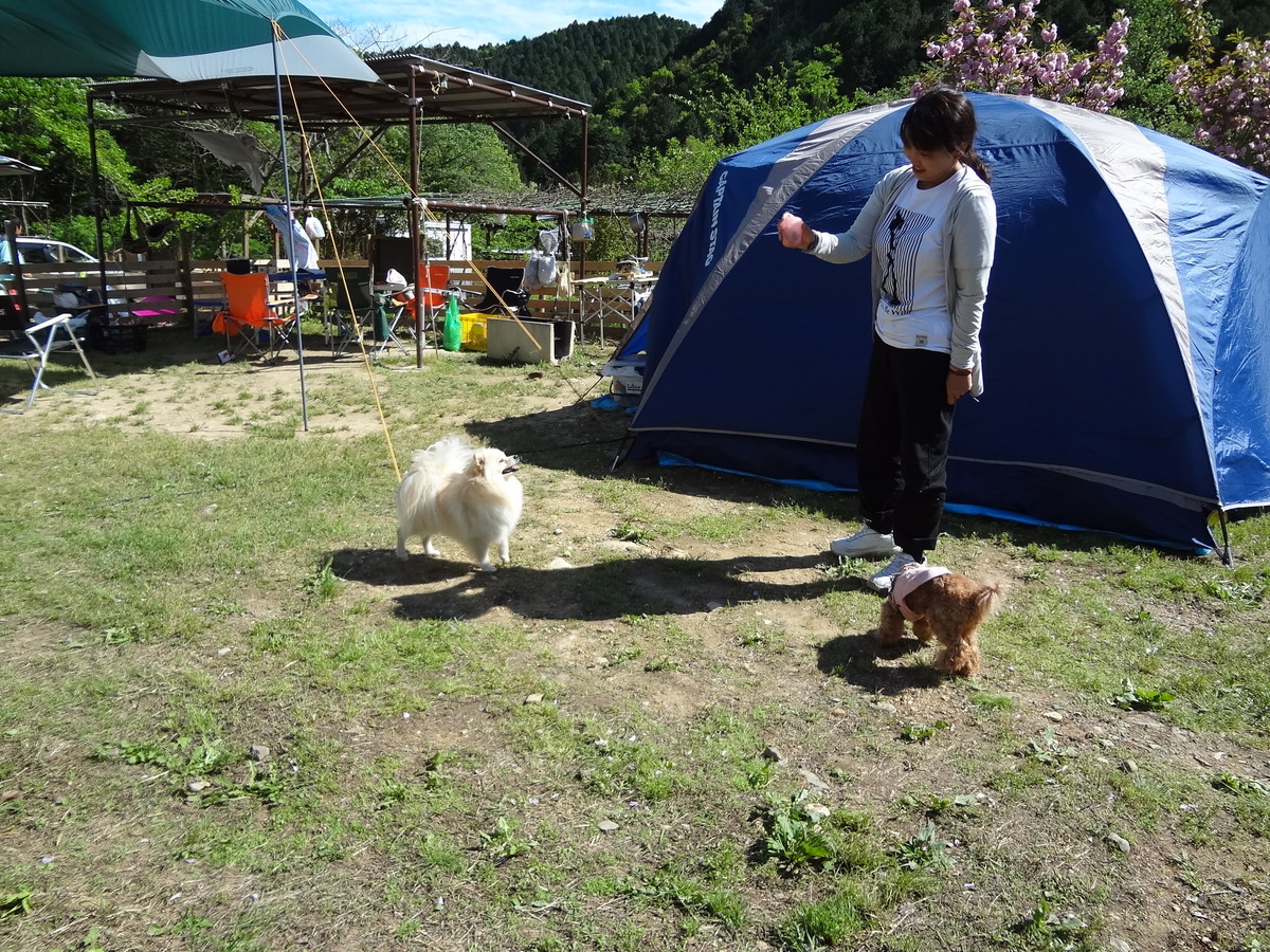 アウトドア・ベース犬山キャンプ場