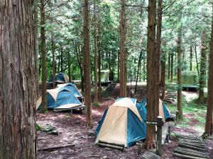 チャウシカの森キャンプ場